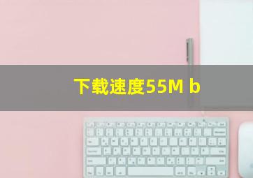 下载速度55M b